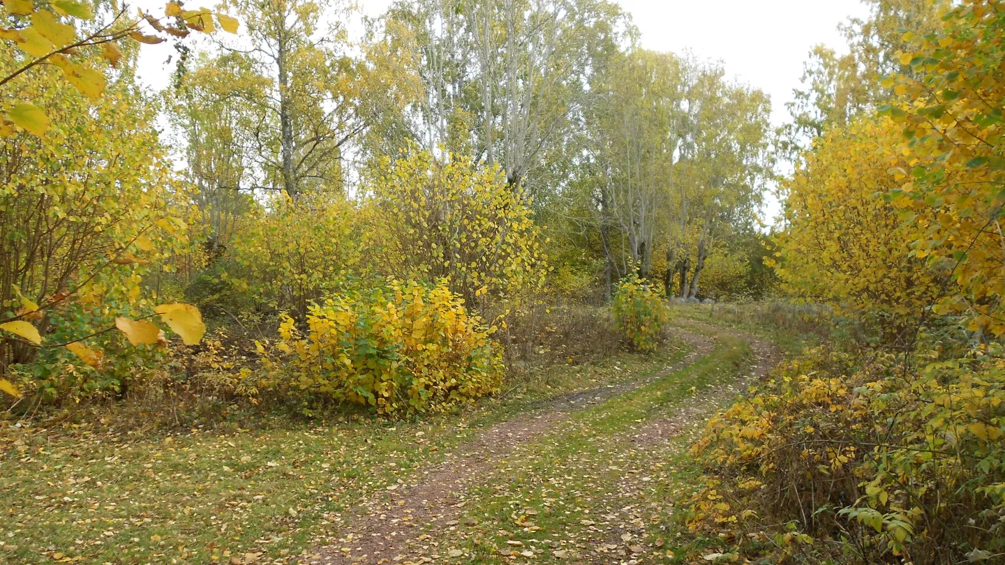 Harnäs Stugor: Röda Stugan - Punainen mökki