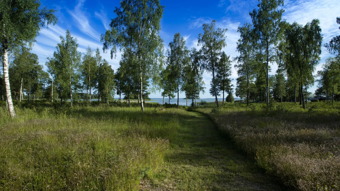 Edenin Mökit