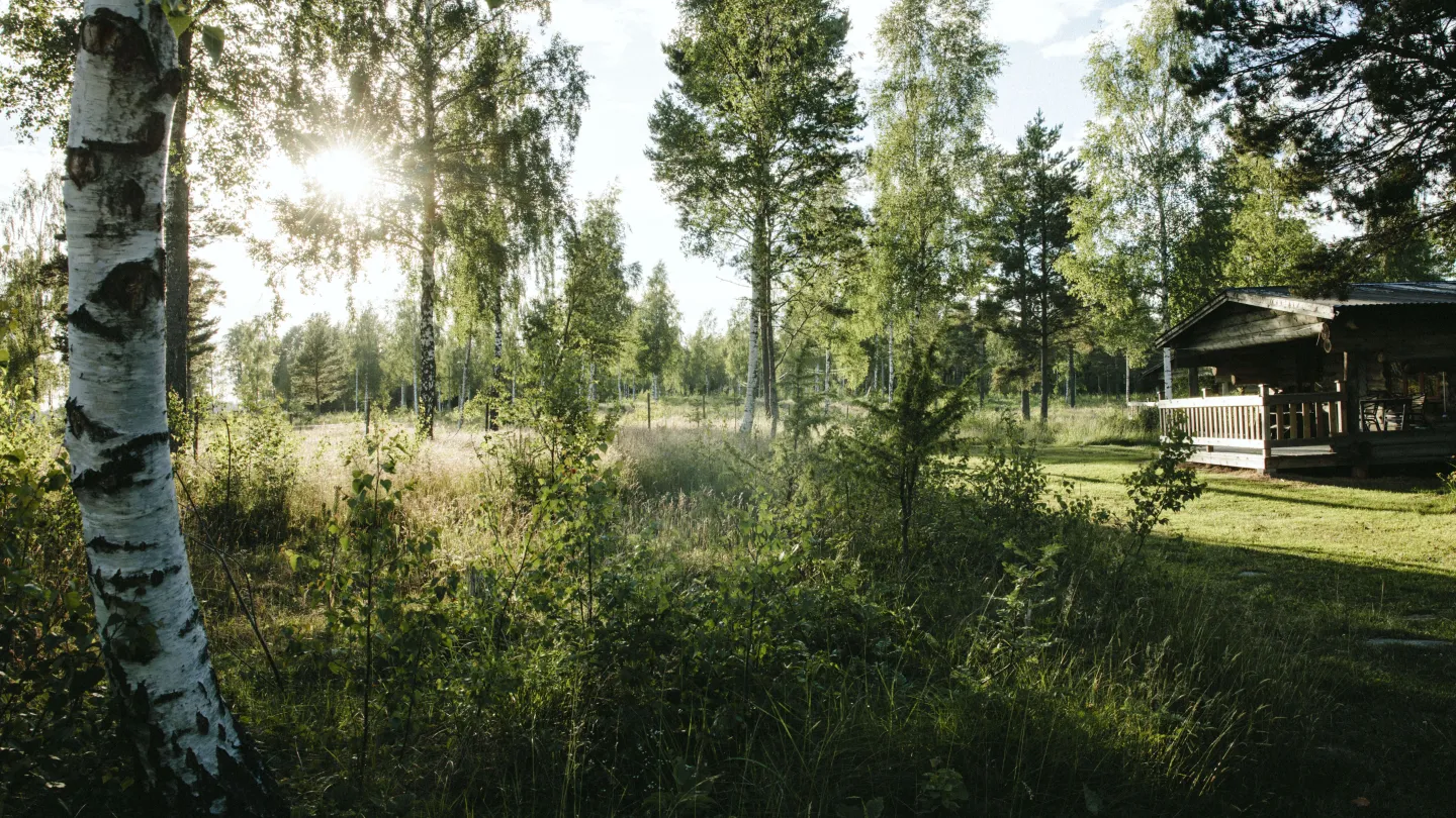Edenin Mökit