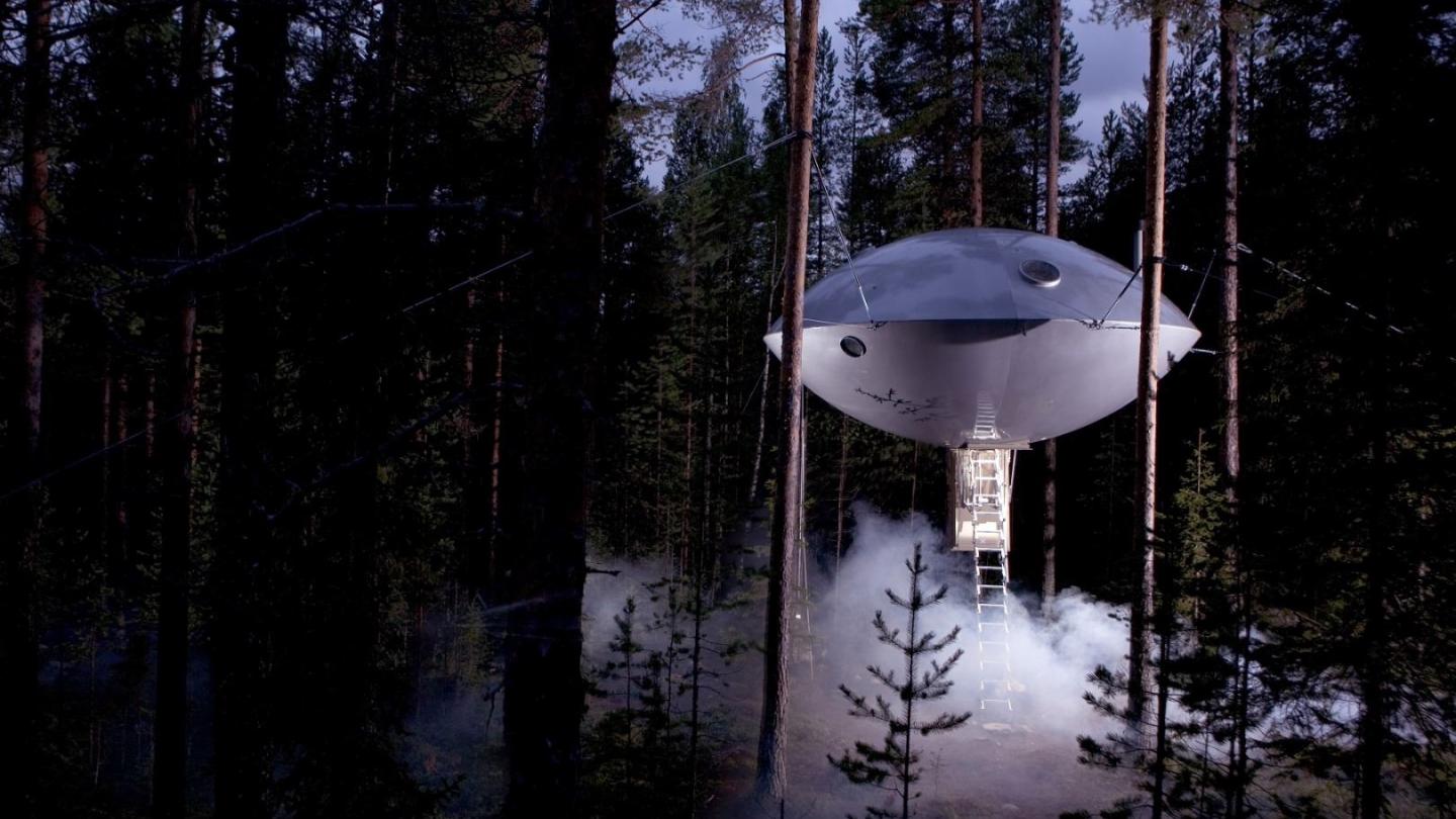 This is Treehotel