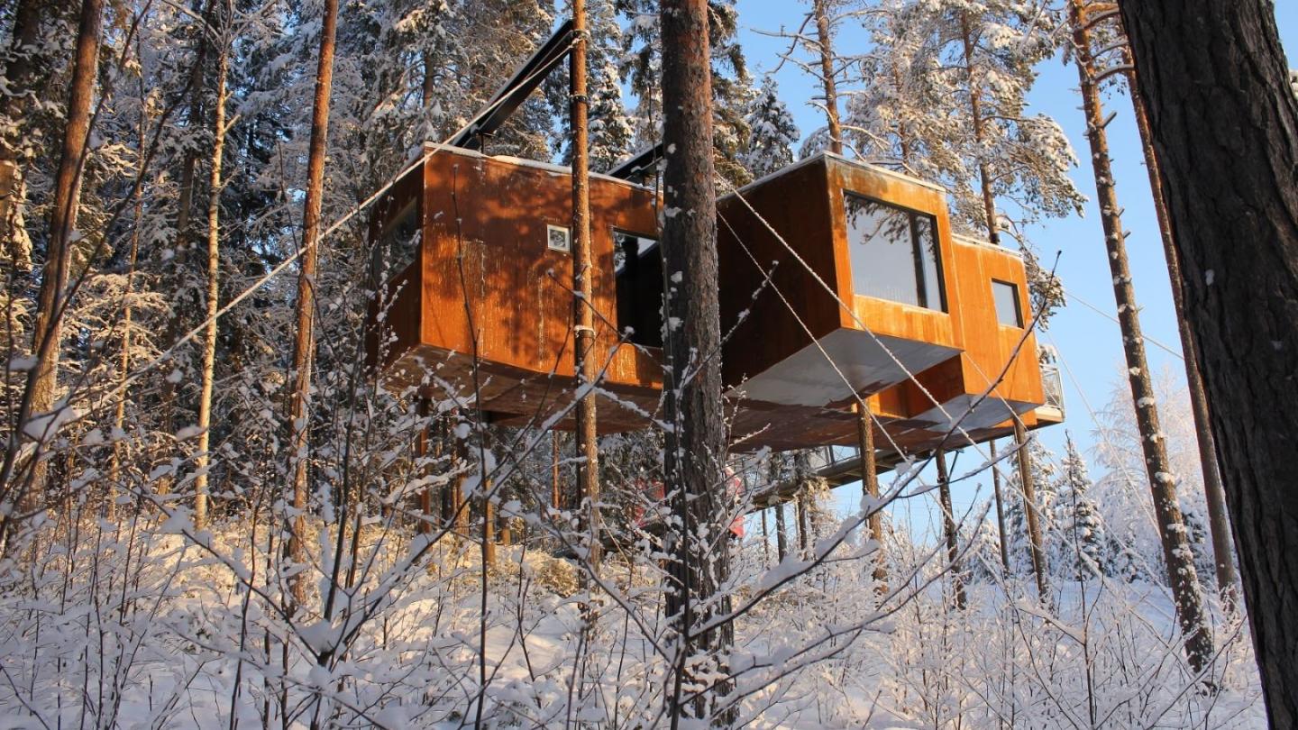 This is Treehotel