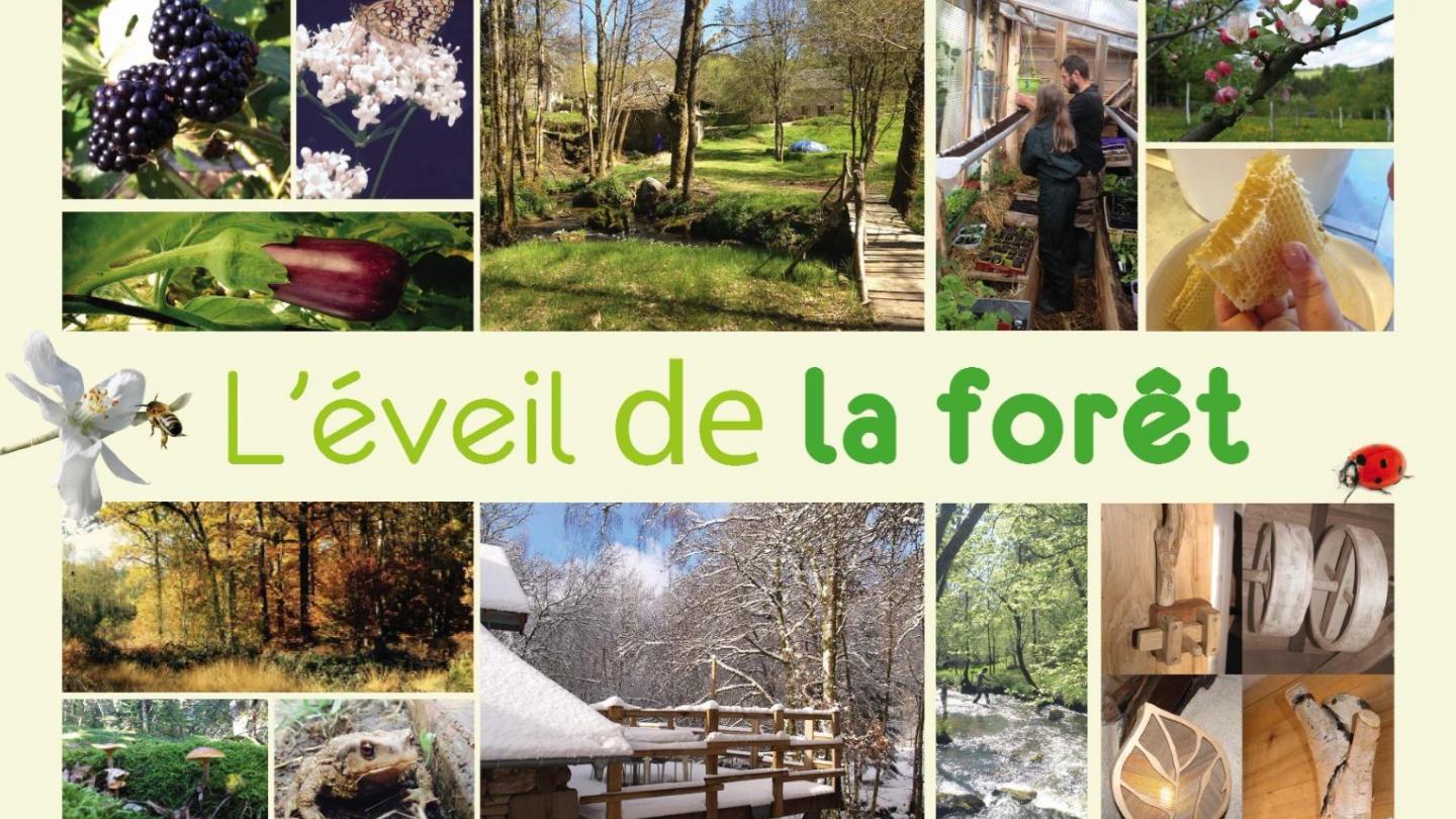 The gite of L’Éveil de la Forêt