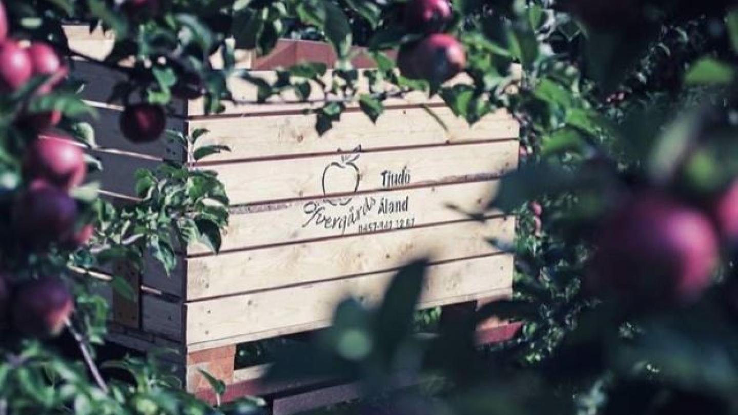 Öfvergårdsin Ax-plåck, tai piknik, omenapuutarhassa