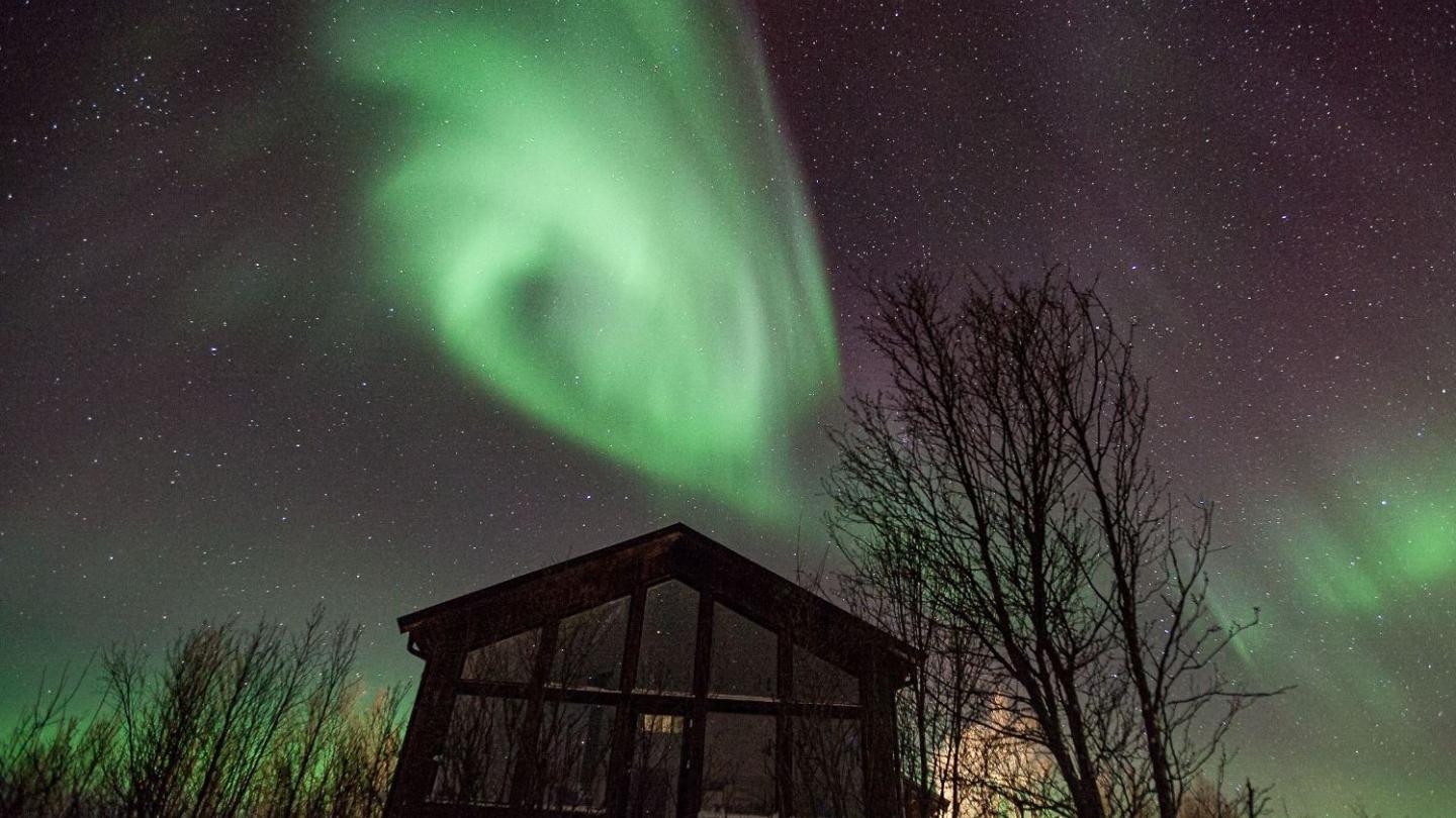 Aurora Fjord Cabins 