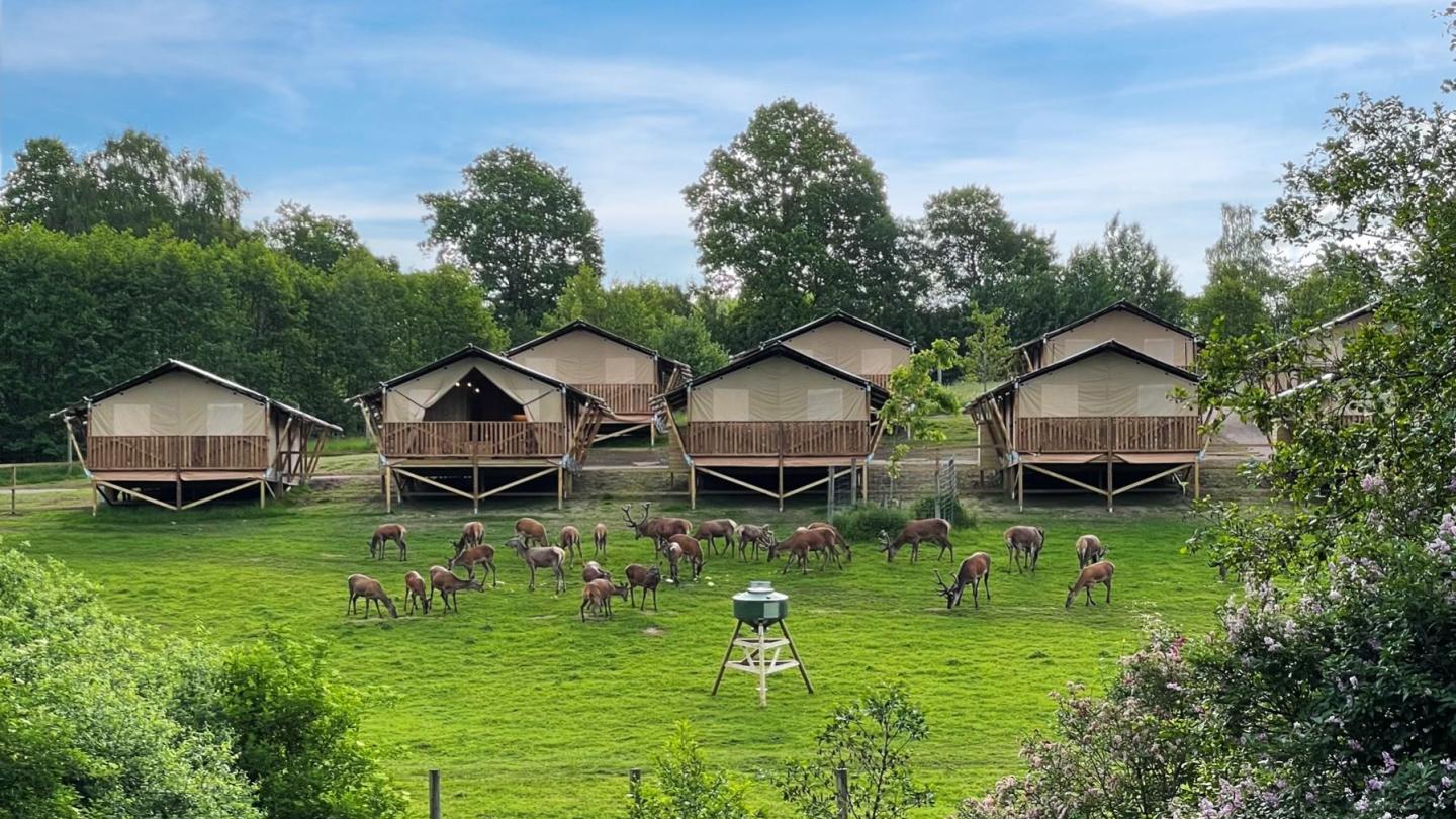 Wild Lodge - Skånes Djurpark