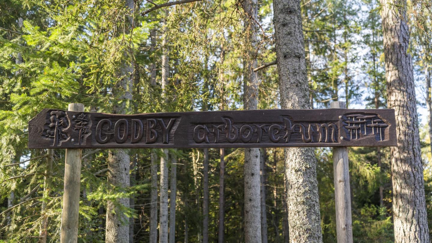 Godby Arboretum − utländska exoter i åländsk natur
