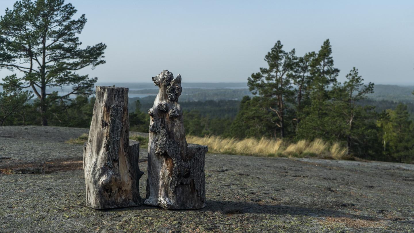 Grottstigen 4,7 km – rock formations and dwarf pines
