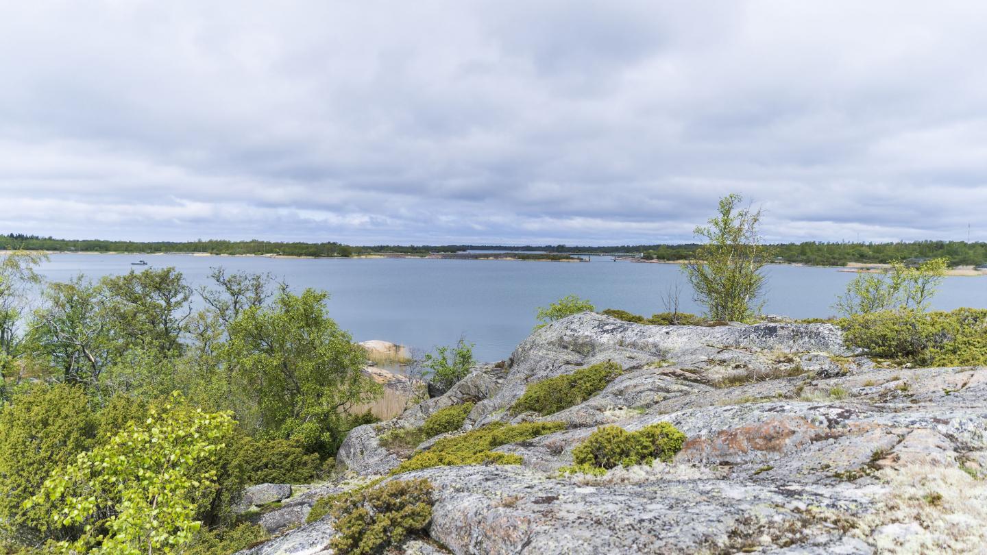 Jåsholm 3 km – deciduous trees and bird life