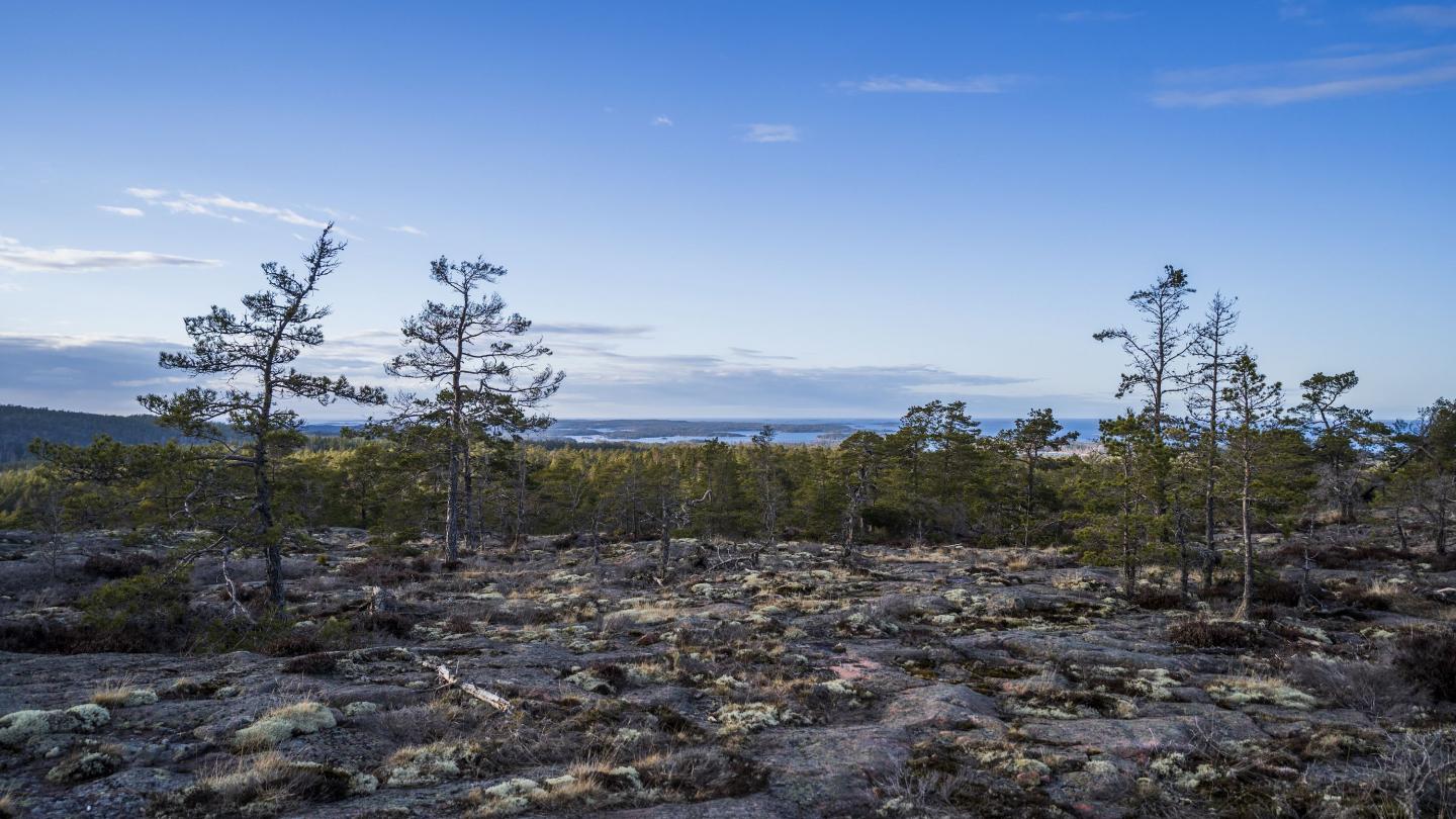 Långbergen 5,5 km− saaristoerämaa ja kivikausi