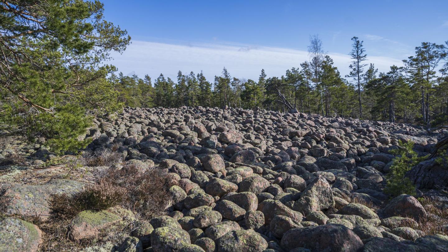 Långbergen 5,5 km − wilderness and stone age