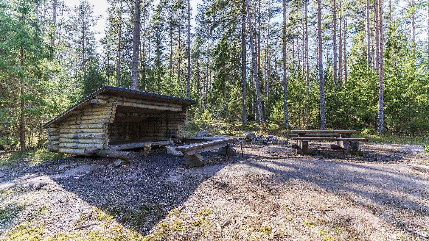 Stornäset 2,5−5 km − forest walk in peaceful surroundings