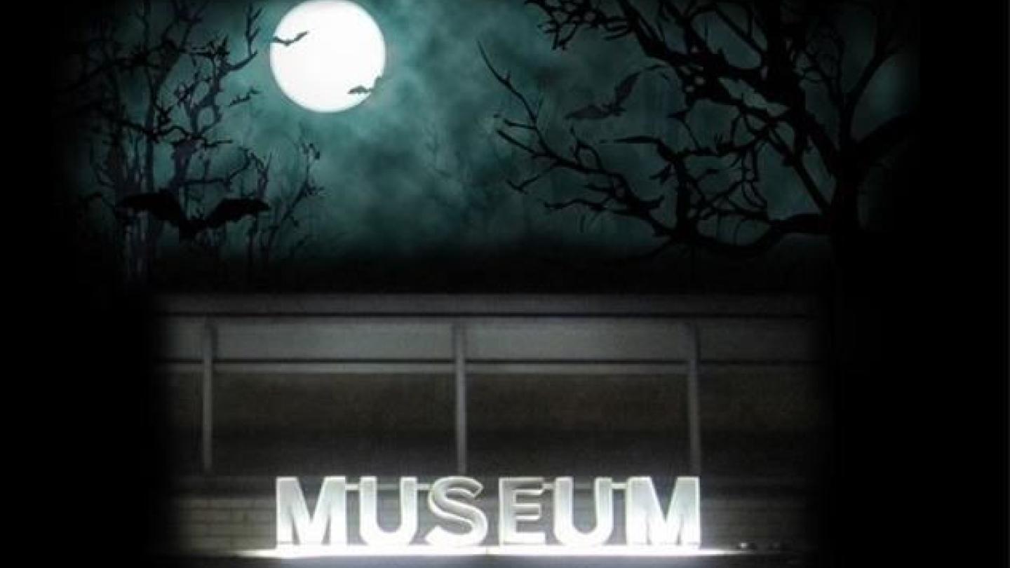 Natt på museet