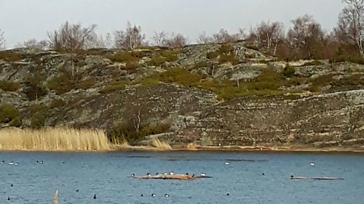 Ab Långören, Brändö